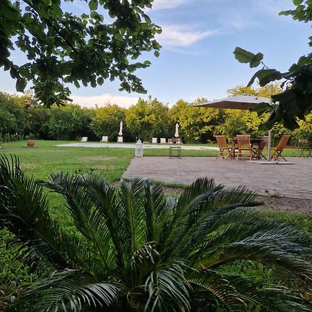 Agriturismo Terre Di Nelio Vignanello المظهر الخارجي الصورة